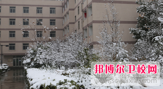安徽2020年好一點(diǎn)的衛(wèi)校大專學(xué)校