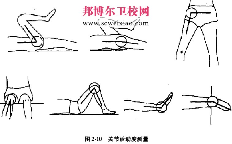 關(guān)節(jié)活動度的測量方法2