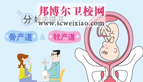 產道直接影響分娩