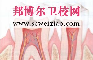 深齲診斷和鑒別診斷