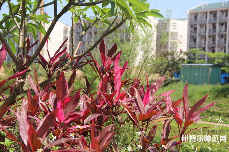 廣西科技師范學(xué)院來(lái)賓校區(qū)招生辦聯(lián)系電話
