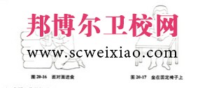 康復(fù)護(hù)理學(xué)定義