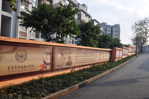 重慶市衛(wèi)生技工學校學費及收費標準'