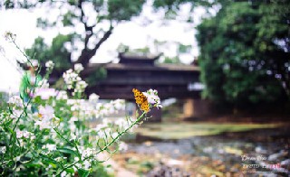 成都信息技術(shù)學(xué)校的互聯(lián)網(wǎng)營銷與管理前景如何?