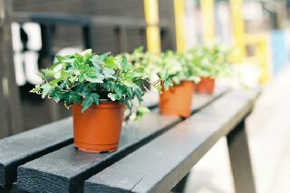 成都幼師大專學校學前教育專業(yè)如何呢