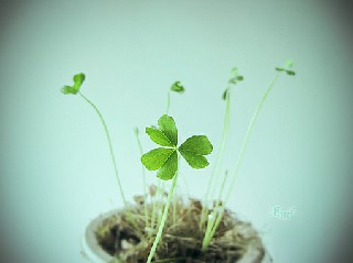 成都高考報(bào)考幼師專業(yè)哪個(gè)學(xué)校好
