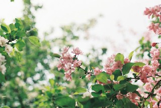 學(xué)前教育專業(yè)學(xué)生要學(xué)哪些課程？老師解答