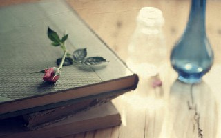 成都市五月花幼師學院幼師專業(yè)畢業(yè)有哪些畢業(yè)證書？