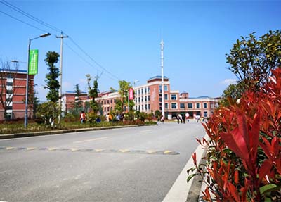 校園景色、.jpg