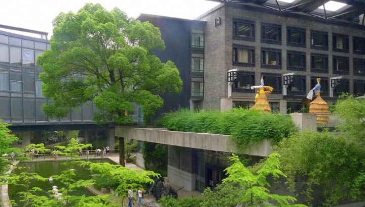  四川哪個(gè)康復(fù)治療專業(yè)學(xué)校好及錄取分?jǐn)?shù)線