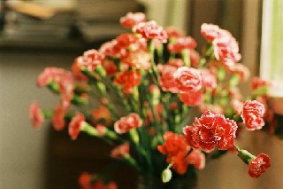 學(xué)川菜廚師到成都哪所廚師學(xué)校好?