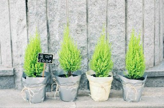四川化工高級(jí)技工學(xué)校2020年春招生計(jì)劃