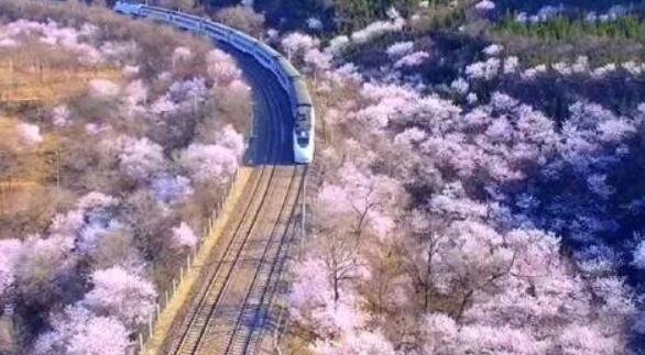  【招生專業(yè)】海航動車高鐵乘務人才定制班——感受高速發(fā)展的中國鐵路