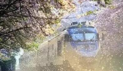  【招生專業(yè)】海航動車高鐵乘務人才定制班——感受高速發(fā)展的中國鐵路