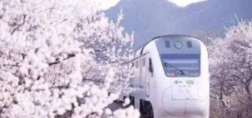  【招生專業(yè)】海航動車高鐵乘務人才定制班——感受高速發(fā)展的中國鐵路