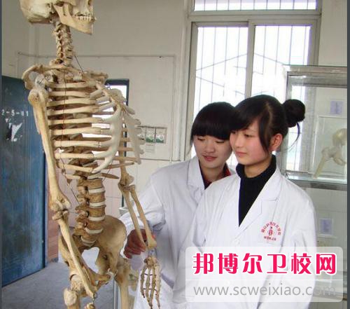 南充2020年職高好還是衛(wèi)校好