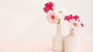 幼兒師范學(xué)校招生對(duì)象及報(bào)名條件有哪些?