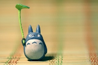 成都市計(jì)算機(jī)學(xué)校網(wǎng)絡(luò)工程專業(yè)課程