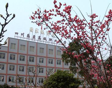 樂至縣高級職業(yè)中學2020年招生簡章_樂至縣高級職業(yè)中學怎么樣?