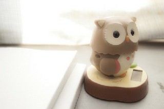 成都有哪些建筑學(xué)校?
