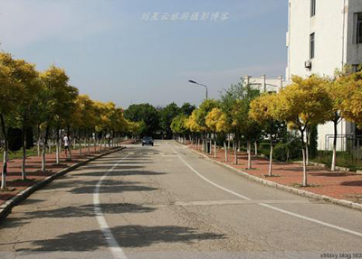 招生計(jì)劃