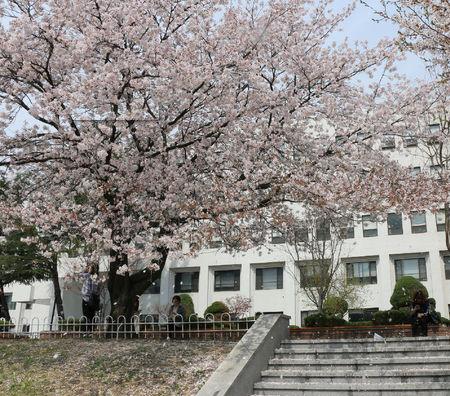 成都建筑學(xué)校建筑工程專業(yè)培養(yǎng)人才的優(yōu)勢