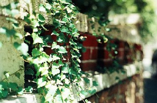 成都市鐵路學(xué)校哪家好？