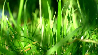 成都建筑學(xué)校給水排水工程專業(yè)介紹