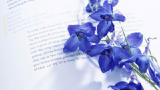 成都計(jì)算機(jī)學(xué)校計(jì)算機(jī)及應(yīng)用專業(yè)課程設(shè)置