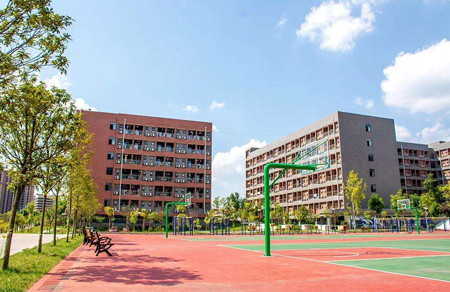  四川科技職業(yè)學(xué)院專升本該怎么做？