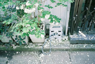 高鐵技術發(fā)展趨勢如何