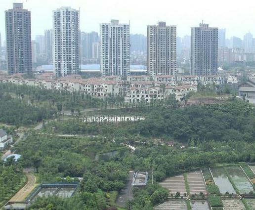 成都市職業(yè)學(xué)校的會計專業(yè)哪家好?