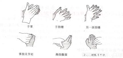 口腔修復(fù)技能考試洗手六步法