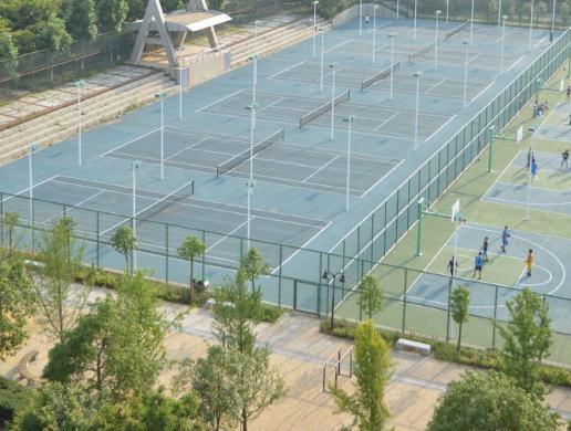 四川省旅游學(xué)校2020年分?jǐn)?shù)線多少