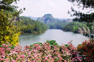 四川省旅游學(xué)校開設(shè)了哪些專業(yè)