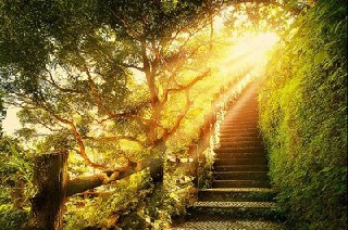 到成都廚師學(xué)校能學(xué)到真正的廚師技術(shù)嗎?