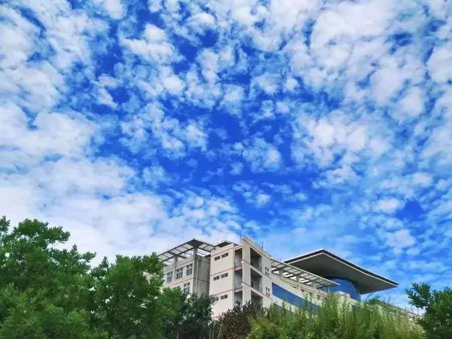 1598152333339757.jpg 微信圖片_20200823092443.jpg