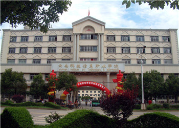 云南科技信息職業(yè)學(xué)院2019年五年制大專招生簡(jiǎn)章
